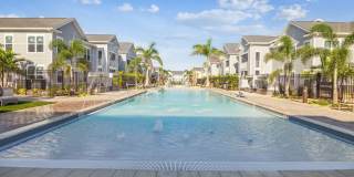 Palm Grove Gallery 21