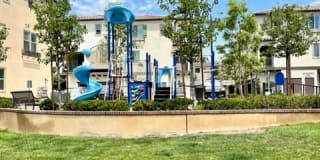 4310 Poppy Lane Gallery 16