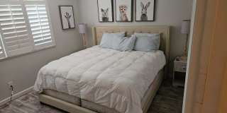 500 Ocean Trail Way Gallery 8