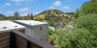 Artisan Apartments Gallery 12