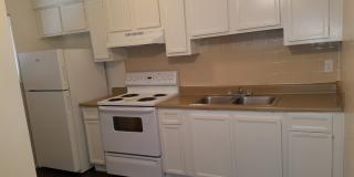 Forest Ridge Gallery 25