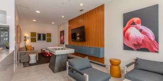 Live Grandscape Gallery 10