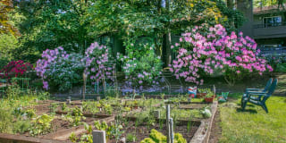 Hunt Club Gallery 21