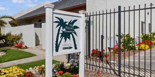 Palms Gallery 1