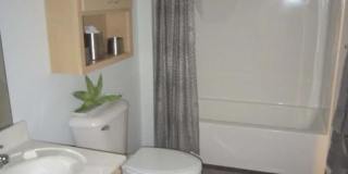 Humbucker Apartments Gallery 85