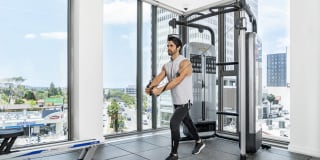 Vision on Wilshire Vision on Wilshire Gallery 26