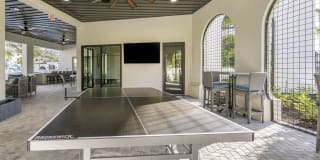 Lago Gallery 21