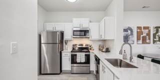 Halston Shiloh Valley Gallery 2