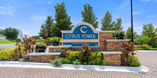 Citrus Tower Gallery 33