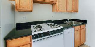 3912-28 N Pine Grove Gallery 6
