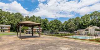 Premier Club Gallery 20