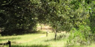 Sharon Green Gallery 26