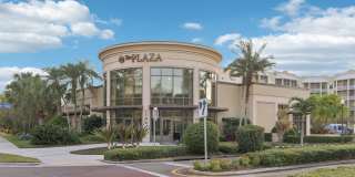 Imperial Palms Gallery 46