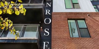The Penrose Southend Gallery 13