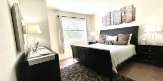 11028 Legacy Drive Gallery 29