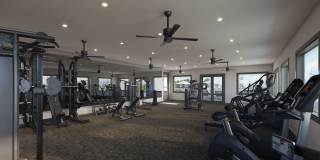 Local Dripping Springs Local Dripping Springs Gallery 32