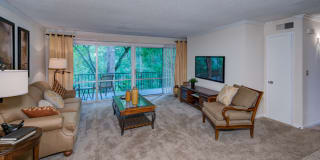 Avana Cumberland Gallery 21