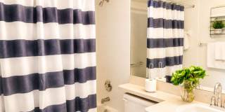 Beautiful 3-bedroom, 2-bath rental home Gallery 14