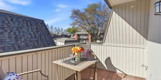 3241 Shadow Park PL Gallery 11