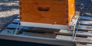 Trio Pointe Gallery 36