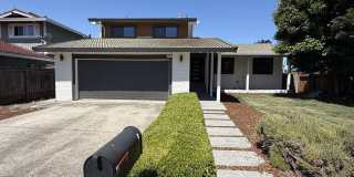 Beautifully Remodeled 4/3 Home in H Section - 678 Holly Ave Gallery 1