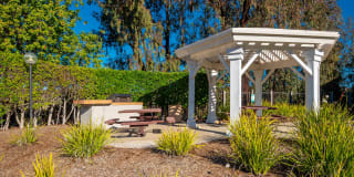 Montierra Gallery 21