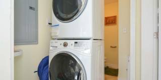 7 Williams Street Gallery 22