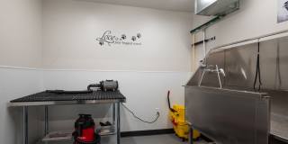 The Residences of Auburn Hills Gallery 18