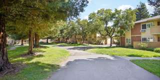 Lincoln Glen Gallery 16