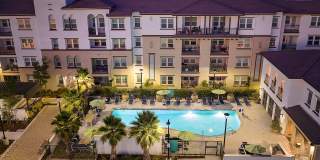 Senior Housing- Palmia, Age 55+ Luxury Apartments Gallery 40