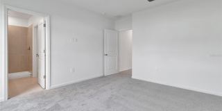 275 PUMA LOOP Gallery 16