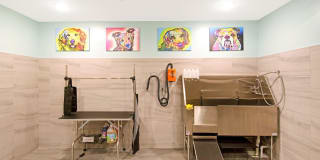 Liberty Bay Club Gallery 40