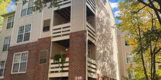 240 S REYNOLDS Street unit: 304 Gallery 1