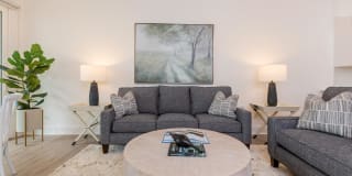 Arboretum Village Gallery 39