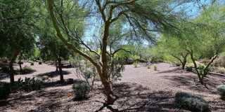 29906 N 129TH Glen Gallery 30