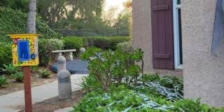 Rare Discovery Hills Gem – 3 Bedroom Home with Serene Backyard Oasis Rare Discovery Hills Gem – 3 Bedroom Home with Serene Backyard Oasis Gallery 3