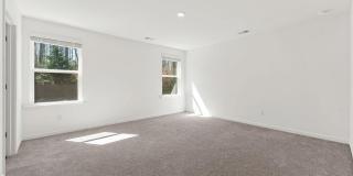 103 Dewitt Drive Gallery 22