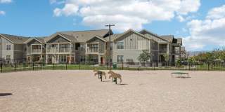 Springs at Sandstone Ranch Gallery 110