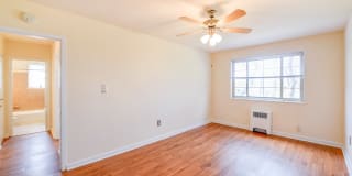 New Horizon Gallery 10