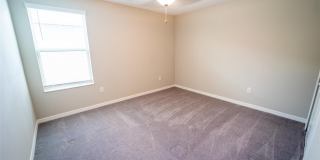 9831 LEMON DROP Loop Gallery 31