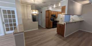 Leon Valley Gem!! Gallery 18