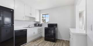 3811 Cedar Spring Gallery 6
