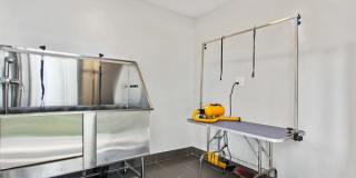 3800 on Portland Gallery 15