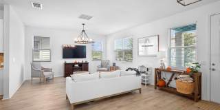 17682 Northlake Grove Drive Gallery 4