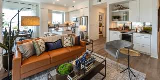 Pearl Rosemont Gallery 34
