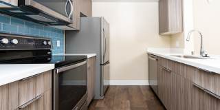 SOMA at 788 Gallery 4