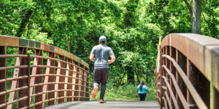 Kaywood Gardens Apartments Gallery 29