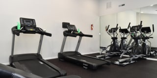 Branchwater Gallery 23