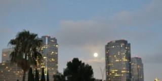 1611 S Beverly Glen Gallery 18