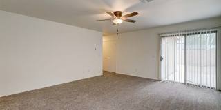 READY TO TOUR NOW! FRESHLY PAINTED INTERIOR & BRAND NEW CARPET! Great Home in Desirable Sheely Farms Neighborhood! Gallery 7